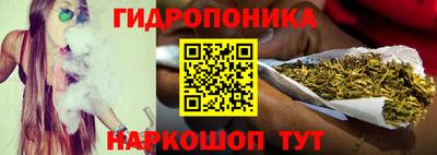трава Новозыбков
